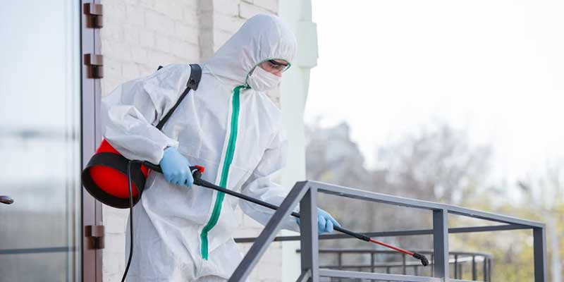Commercial Spray Services: Protecting Your Property from Common Pest Infestations