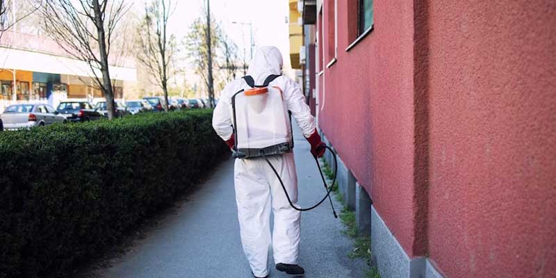 Commercial Spray Service vs. DIY Pest Control: Which is Better?